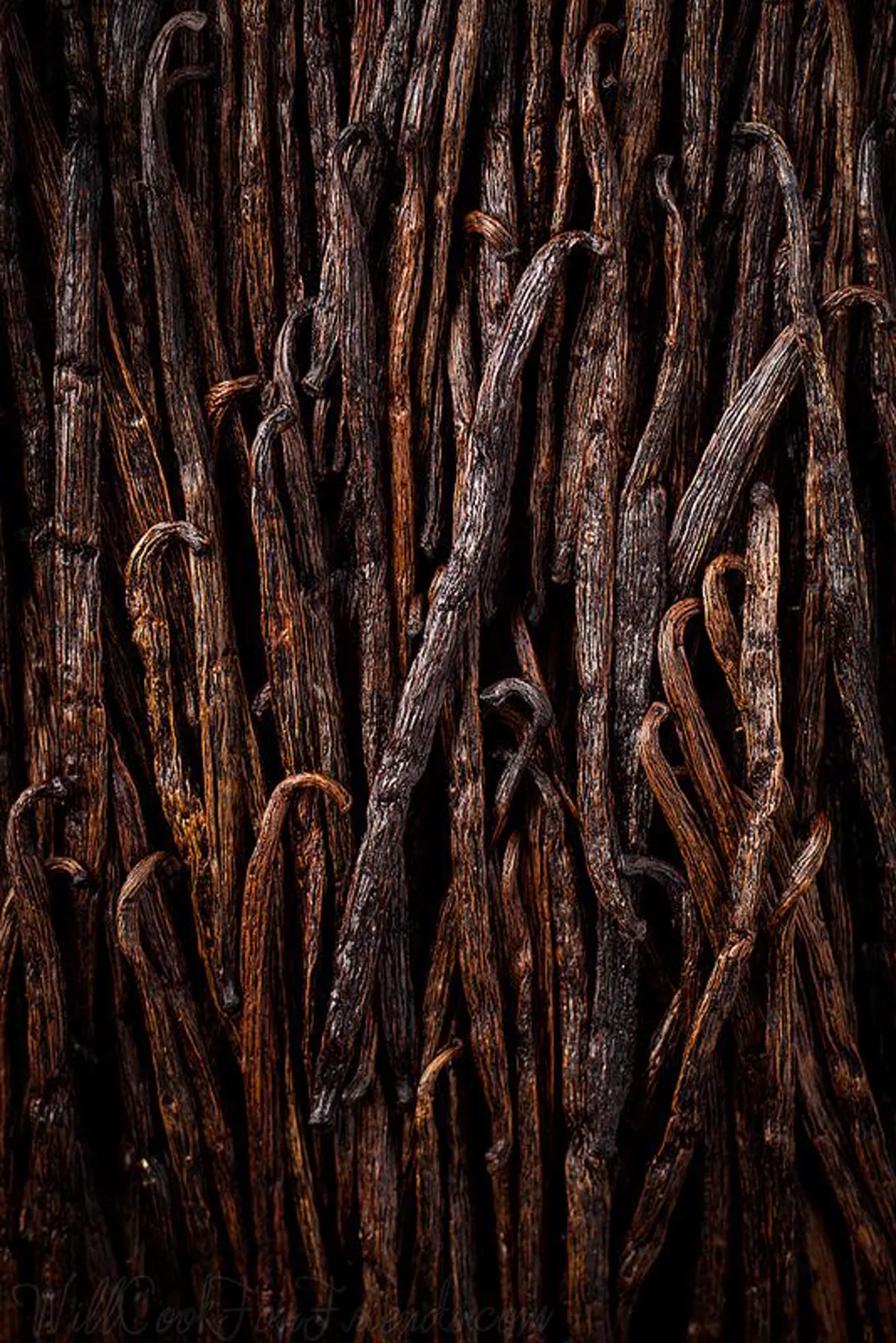VANILLA collection — Resinous, edible depth without excess.